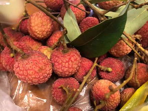 荔枝漲價(jià)背后 從水果自由到消費(fèi)焦慮